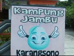 Manfaat Buah Jambu dan Khasiatnya ada di Kampung Jambu Karangsono