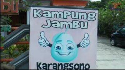 RB4tKpiIrasmq