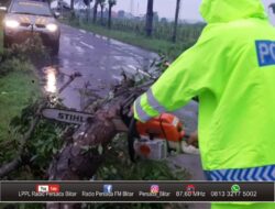 Rawan Pohon Tumbang, Penggunaan Jalan Diminta Berhati-hati Saat Hujan Deras Melanda