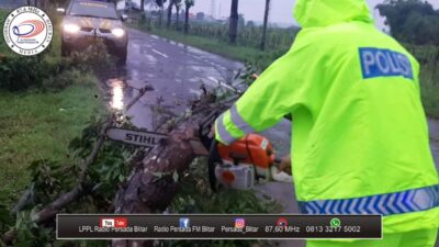 Rawan Pohon Tumbang, Penggunaan Jalan Diminta Berhati-hati Saat Hujan Deras Melanda