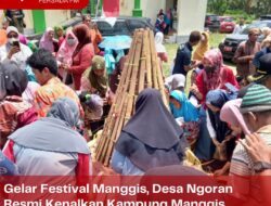 Gelar Festival Manggis, Desa Ngoran Resmi Kenalkan Kampung Manggis