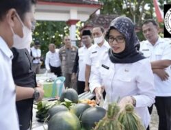 Miliki Banyak Daerah Yang Berpotensi, Bupati Blitar Optimis Bisa Bangkitkan Perekonomian Masyarakat