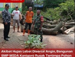 Akibat Hujan Lebat Disertai Angin, Bangunan SMP MIDA Kanigoro Rusak Tertimpa Pohon Tumbang