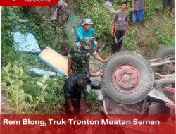 Rem Blong, Truk Tronton Muatan Semen Terperosok di Kesamben