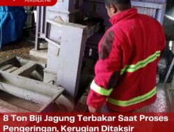 8 Ton Biji Jagung Terbakar Saat Proses Pengeringan, Kerugian Ditaksir Mencapai Puluhan Juta Rupiah