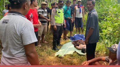 Kaget! Sedang Mencari Ikan, Warga Selorejo Temukan Mayat Tersangkut Kayu Di Bibir Sungai