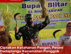 Ciptakan Ketahanan Pangan, Petani Dadaplangu Kecamatan Ponggok Panen Raya Padi