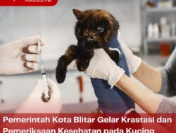 Pemerintah Kota Blitar Gelar Krastasi dan Pemeriksaan Kesehatan pada Kucing