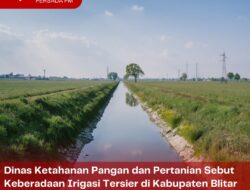Dinas Ketahanan Pangan dan Pertanian Sebut Keberadaan Irigasi Tersier di Kabupaten Blitar Telah Merata di Seluruh Kecamatan