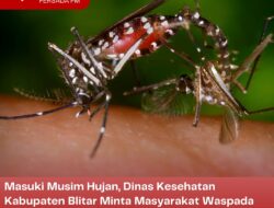 Masuki Musim Hujan, Dinas Kesehatan Kabupaten Blitar Minta Masyarakat Waspada Dengan Nyamuk Habitat Kebun