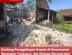 Gudang Penggilingan Kapuk di Kecamatan Binangun Terbakar, Api Diduga Berasal dari Knalpot Diesel