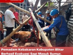 Pemadam Kebakaran Kabupaten Blitar Berhasil Evakuasi Sapi Masuk Sumur, Kondisi Selamat Tanpa Luka