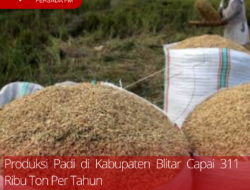 Produksi Padi di Kabupaten Blitar Capai 311 Ribu Ton Per Tahun