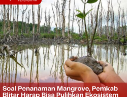 Pemkab Blitar Berharap Penanaman Mangrove, Bisa Pulihkan Ekosistem dan Habitat Hutan