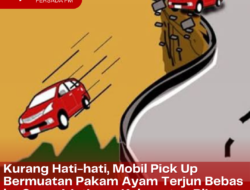 Kurang Konsentrasi, Mobil Pick Up Bermuatan Pakan Ayam Terjun Bebas ke Sungai Jatinom Kabupaten Blitar