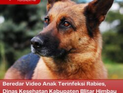 Beredar Video Anak Terinfeksi Rabies, Dinas Kesehatan Kabupaten Blitar Himbau Masyarakat Lebih Waspada