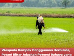 Waspada Dampak Penggunaan Herbisida, Petani Blitar Jelaskan Potensi Bahaya yang Ditimbulkan
