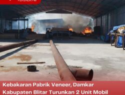 Kebakaran Pabrik Veneer, Damkar Kabupaten Blitar Turunkan 2 Unit Mobil Pemadam