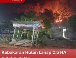 Kebakaran Hutan Lahap 0.5 HA Bukit di Blitar