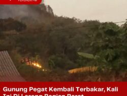 Gunung Pegat Kembali Terbakar, Kali Ini Di Lereng Bagian Barat
