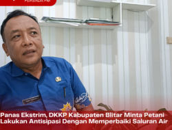 Panas Ekstrim, DKKP Kabupaten Blitar Minta Petani Lakukan Antisipasi Dengan Memperbaiki Saluran Air