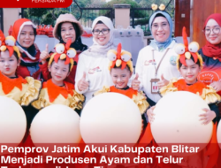 Pemprov Jatim Akui Kabupaten Blitar Menjadi Produsen Ayam dan Telur Terbesar di Jawa Timur