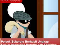 Polsek Sukorejo Berhasil Ungkap Kasus Pencurian Burung dan Kambing