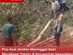 Pria Asal Jember Meninggal Saat Menebang Pohon di Kecamatan Kesamben Kabupaten Blitar