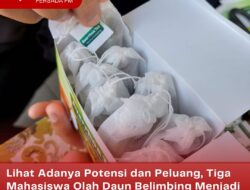Lihat Adanya Potensi dan Peluang, Tiga Mahasiswa Olah Daun Belimbing Menjadi Teh yang Aman Dikonsumsi