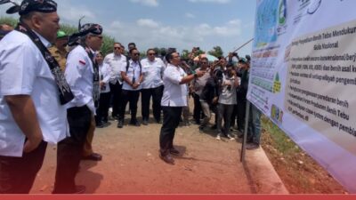 Penuhi Kebutuhan Gula Nasional, Kementerian Pertanian Canangkan Bangun 20 Pabrik Gula Baru