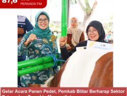 Gelar Acara Panen Pedet, Pemkab Blitar Berharap Sektor Peternakan Semakin Menggeliat