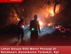 Lahan Seluas 500 Meter Persegi Di Bendosari, Sanankulon Terbakar, Api Diduga Berasal dari Pembakaran oleh Warga