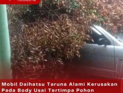 Mobil Daihatsu Taruna Alami Kerusakan Pada Body Usai Tertimpa Pohon Tumbang di Kecamatan Nglegok