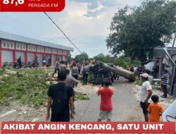 Akibat Angin Kencang, Satu Unit Kendaraan Pickup Tertimpa Pohon