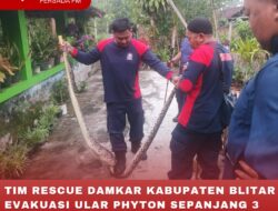 TIM RESCUE DAMKAR KABUPATEN BLITAR EVAKUASI ULAR PHYTON SEPANJANG 3 METER DI KANDANG AYAM