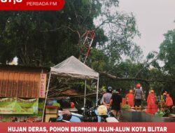 Hujan Deras, Pohon Beringin Alun-alun Kota Blitar Tumbang, Menimpa Sejumlah Stand Pedagang