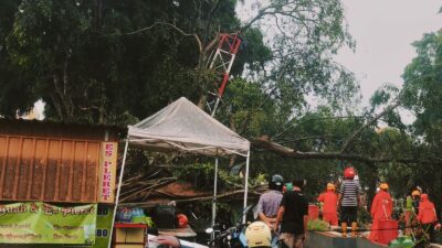 Hujan Deras, Pohon Beringin Alun-alun Kota Blitar Tumbang, Menimpa Sejumlah Stand Pedagang