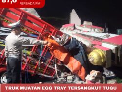 Truk Muatan Egg Tray Tersangkut Tugu Batas Desa Ngaglik Kecamatan Srengat