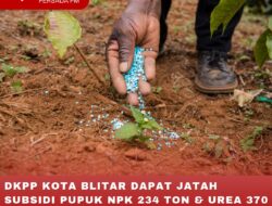 DKPP KOTA BLITAR DAPAT JATAH SUBSIDI PUPUK NPK 234 TON & UREA 370 TON