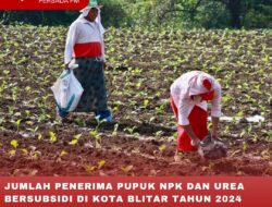 JUMLAH PENERIMA PUPUK NPK DAN UREA BERSUBSIDI DI KOTA BLITAR TAHUN 2024 SEBANYAK 2.265 PETANI, MENURUN DARI TAHUN SEBELUMNYA