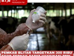 Pemkab Blitar Tergetkan 300 Ribu Ekor Ternak Dapat Vaksinasi PMK Dosis II