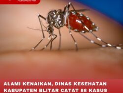ALAMI KENAIKAN, DINAS KESEHATAN KABUPATEN BLITAR CATAT 88 KASUS DEMAM BERDARAH DAN 191 SUSPEK