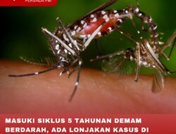MASUKI SIKLUS 5 TAHUNAN DEMAM BERDARAH, ADA LONJAKAN KASUS DI AWAL TAHUN 2024