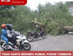 Tidak Hanya Menimpa Rumah, Pohon Tumbang Juga Menutup Akses Jalan Raya
