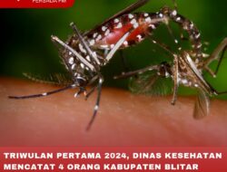 TRIWULAN PERTAMA 2024, DINAS KESEHATAN MENCATAT 4 ORANG KABUPATEN BLITAR MENINGGAL DUNIA AKIBAT DBD