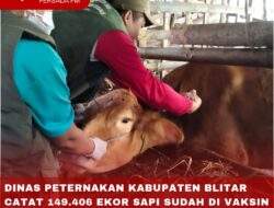 DINAS PETERNAKAN KABUPATEN BLITAR CATAT 149.406 EKOR SAPI SUDAH DI VAKSIN SEJAK AWAL 2024 HINGGA SAAT INI