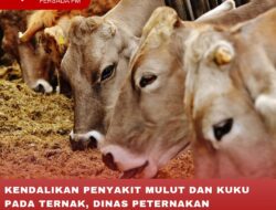 KENDALIKAN PENYAKIT MULUT DAN KUKU PADA TERNAK, DINAS PETERNAKAN KABUPATEN BLITAR INTENSIFKAN VAKSINASI