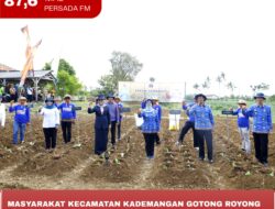 Masyarakat Kecamatan Kademangan Gotong Royong Tanam Tembakau untuk Majukan Perekonomian Lokal