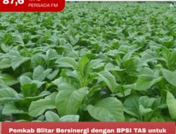 Pemkab Blitar Bersinergi dengan BPSI TAS untuk Meningkatkan Produksi Tembakau