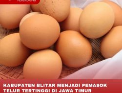 KABUPATEN BLITAR MENJADI PEMASOK TELUR TERTINGGI DI JAWA TIMUR